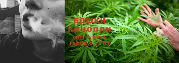дмт Сосновый Бор