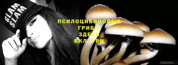 прущий лед Абаза