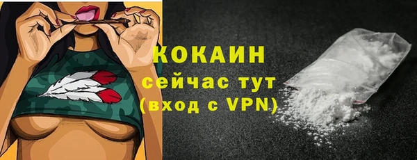 прущий лед Абаза
