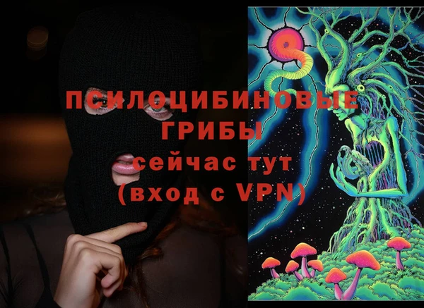 ешки Абинск