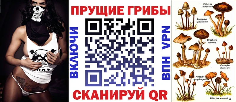 цена наркотик  Нефтеюганск  Галлюциногенные грибы мицелий 